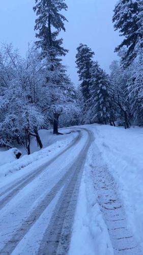 a snow covered road with trees on either side at Sunset View Gulmarg in Gulmarg