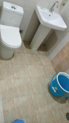a bathroom with a white toilet and a sink at JS Farm Inn (By The Palm Tree - Family Stay) in Amritsar