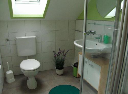 a small bathroom with a toilet and a sink at Venner Gasthaus in Ostercappeln