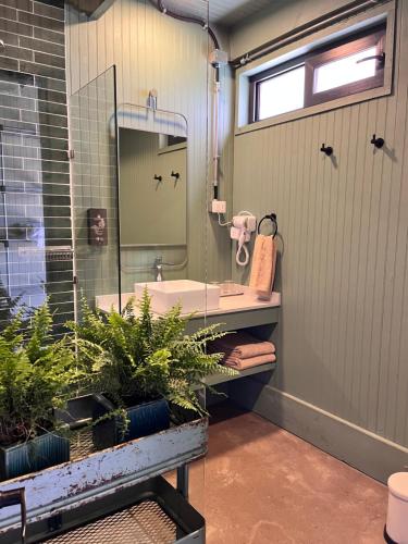 baño con lavabo, espejo y plantas en La Guarda, en Catapilco