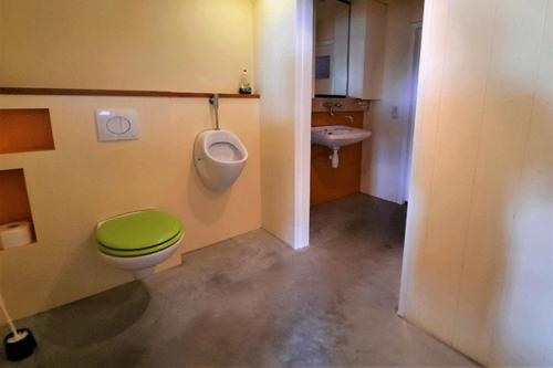 een badkamer met een groen toilet en een urinoir bij Vakantiehuis met Jacuzzi 4 personen in Giethoorn