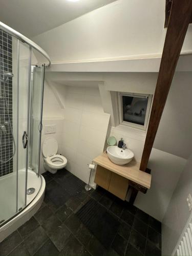 La salle de bains est pourvue d'un lavabo, de toilettes et d'une douche. dans l'établissement Elegant Grand Place Stays, à Bruxelles