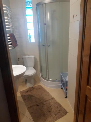 a bathroom with a shower and a toilet and a sink at Apartament Zimowa Cisza in Piwniczna-Zdrój