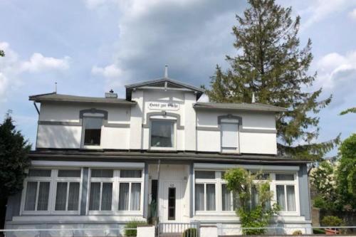 a white house with a tree in front of it at Haus zur Eiche 1 in Dahme