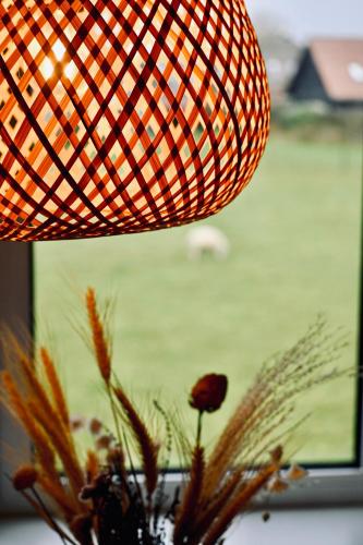 De Viool Appartementen – Photos 5