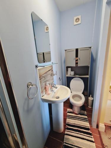 W łazience znajduje się umywalka, toaleta i lustro. w obiekcie Thornbury Accommodation w mieście Burnham-on-Sea