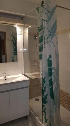 une salle de bain avec un rideau de douche et un lavabo dans l'établissement Appartement chaleureux Ski, Randonnées, Cures..., à Luchon