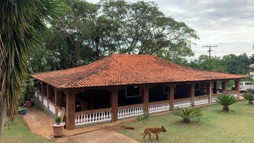 une maison dotée d'un toit avec un chien debout devant elle dans l'établissement Sítio Cabanha Imperial, à Itapetininga