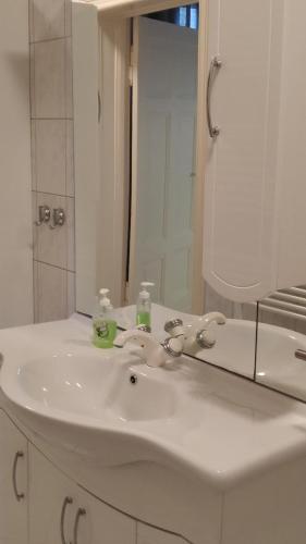 uma casa de banho com um lavatório branco e um espelho. em Ferienwohnung Zöllner em Burg