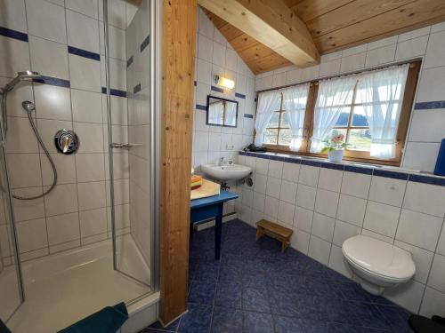 a bathroom with a shower and a toilet and a sink at Balzenhof in Titisee-Neustadt