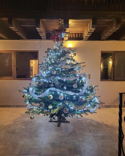 Un árbol azul de Navidad está en una habitación en Adac Boutique Hotel, en Bucarest