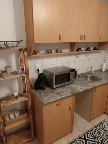 una cocina con fregadero y microondas en una encimera en Repi-Tár apartman, en Szolnok