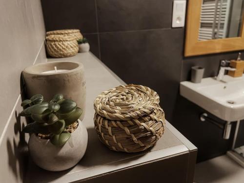 a bathroom with a candle and a plant on a counter at Útulný apartmán St Michael v Javorné na Šumavě in Čachrov