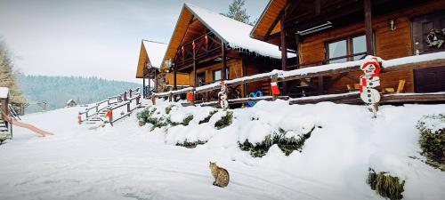 Bojkówka Domki Wypoczynkowe semasa musim sejuk