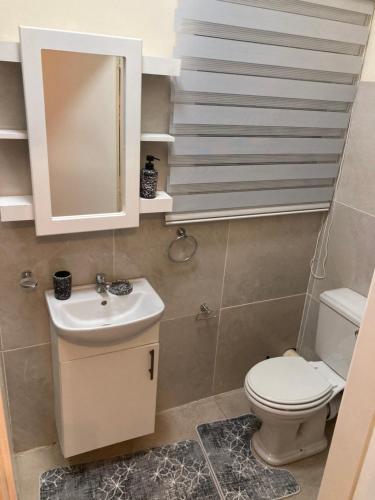 ein Badezimmer mit einem WC, einem Waschbecken und einem Spiegel in der Unterkunft Edenvale corner in Edenvale