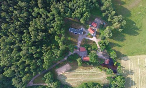 eine Luftansicht eines Hauses im Wald in der Unterkunft Kaimo sodyba Dešimt Beržų 
