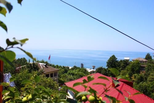 Gallery image of Guest House Lazika in Sarpi