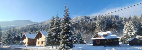 un lodge de ski avec des arbres enneigés et une remontée mécanique dans l'établissement Chaty Hana, à Demänovská Dolina