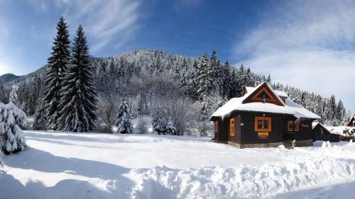 una baita di tronchi nella neve con una montagna di Chaty Hana a Demänovská Dolina