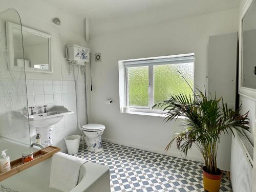 a bathroom with a sink and a toilet and a window at 2 Bedroom House in Bloxwich