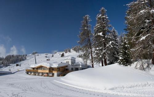 a building on a snow covered slope with trees at sil132 holiday apartments sillian in Sillian