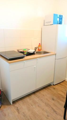 eine weiße Küche mit einer Spüle und einem Kühlschrank in der Unterkunft Apartkeep Chemnitz 234 in Chemnitz