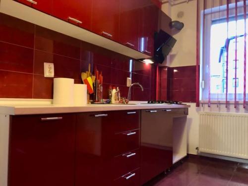 Kuchyň nebo kuchyňský kout v ubytování Joy City Stay Martirilor Giroc 4