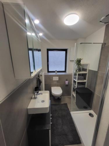 a bathroom with a sink and a toilet and a shower at Ferienwohnung am Grumbach in Saarbrücken