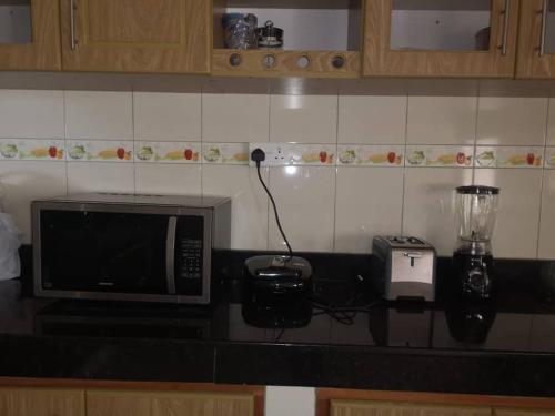 a kitchen counter with a microwave and a blender at Good Times in Kampala
