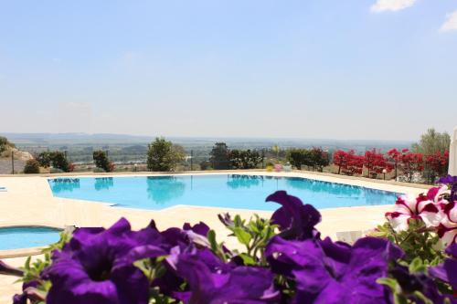 a swimming pool with purple flowers in front of it at Santarem Hotel in Santarém