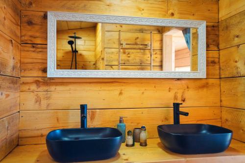 a bathroom with a blue sink and a mirror at LES CABANES DE LUTINA 