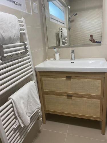 une salle de bain avec un lavabo et un miroir dans l'établissement Grand T4 - 6 couchages près du lac de Soustons face aux arènes, à Soustons