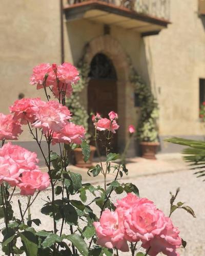 "Villa Bizzi" – Photos 4