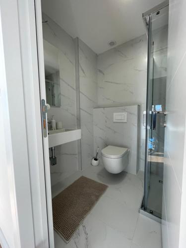 baño blanco con aseo y ducha acristalada en Apartman GreenLo, en Zlatibor