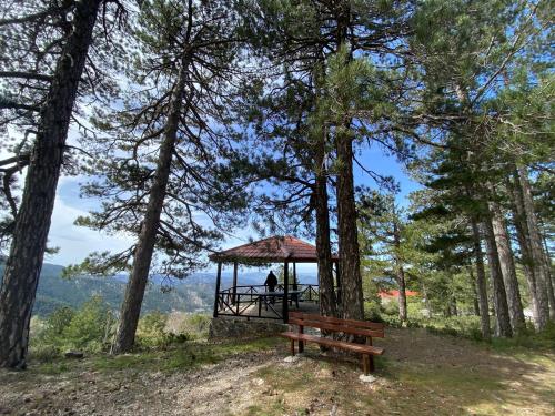 a person in a gazebo on a hill with a bench at Legacy 1930s in Prodromos