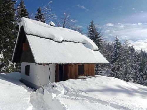 a snow covered cabin with a snow covered roof at Počitniška hiša Jeklar in Bohinj