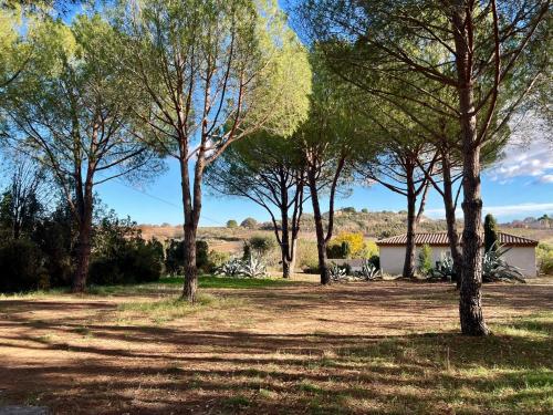 a group of trees in a field with a house at Au Bonheur Dezange in Pézenas