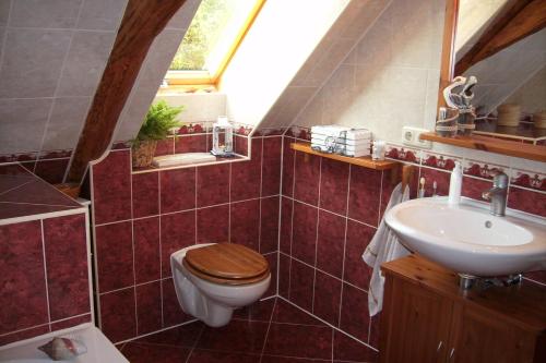 y baño con aseo y lavamanos. en Schwalbennest Kaisitz, en Kaisitz