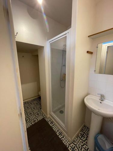 une salle de bain avec douche et lavabo dans l'établissement Joli petit F1 plein centre ville, à Eu