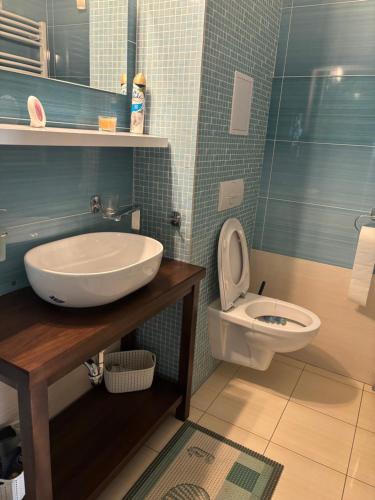 een badkamer met wastafel en toilet bij Apartment Horec Donovaly in Donovaly