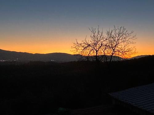 a silhouette of a tree with the sunset in the background at Le Magnolie Paliano appartamento 120 mq in Paliano