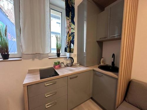 eine Küche mit einer Theke und einem Laptop darauf in der Unterkunft Cozy 1 bedroom apartment! in Bukarest