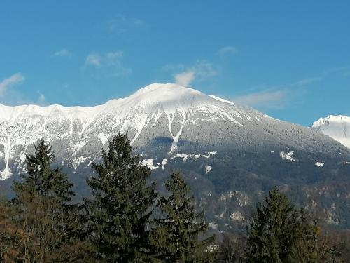 a snow covered mountain with trees in the foreground at Garden Paradise Bled Apartments - garden, pond and castle view in Bled