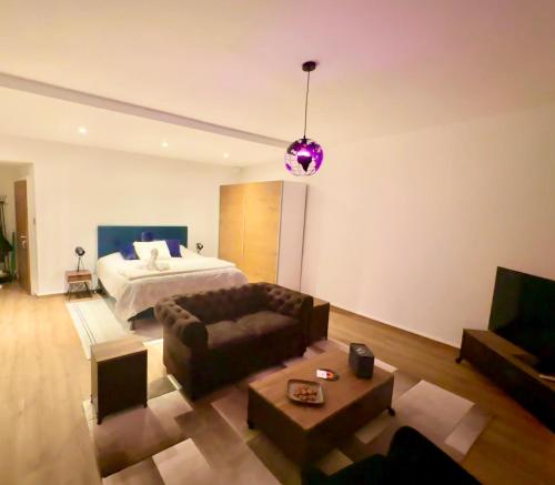ein Wohnzimmer mit einem Bett und einem Sofa in der Unterkunft Magnificent apartment, Geneva Center, Geneva Lake in Genf
