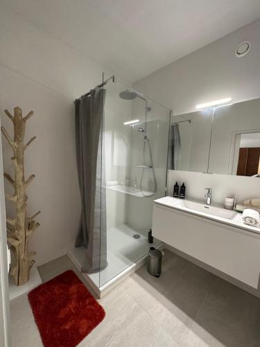 a bathroom with a sink and a shower and a mirror at Magnificent apartment, Geneva Center, Geneva Lake in Geneva