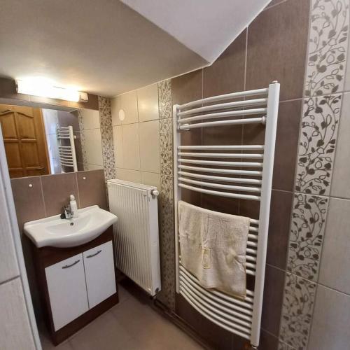 a small bathroom with a sink and a mirror at Beck Pince in Hajós