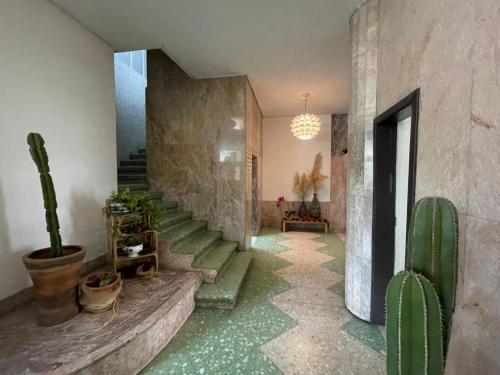 a hallway with cactus plants and a stone wall at Casa Itzae B&B Polanquito Dog Friendly in Mexico City
