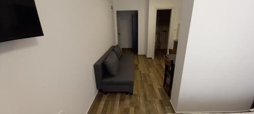 een woonkamer met een bank en een televisie bij Apartmani Kovačević Banja Vrujci in Gunjica