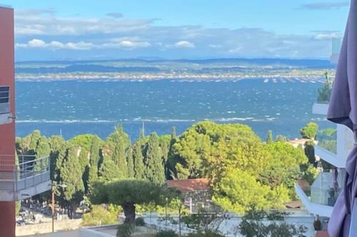 Photo de la galerie de l'établissement 1,5 km plages Bel appartement calme Piscine Garage, à Sète