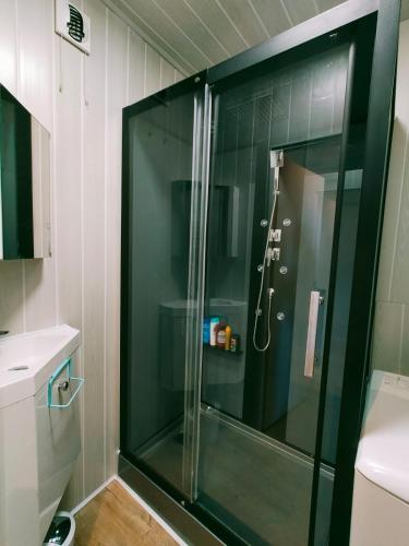 une douche avec une porte vitrée dans une salle de bain dans l'établissement Studio Résidence GALAXIE, hyper centre station, au Corbier